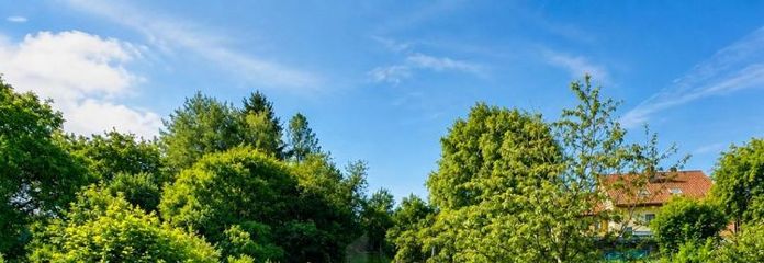 EXKLUSIVES WOHNEN IM GRÜNEN