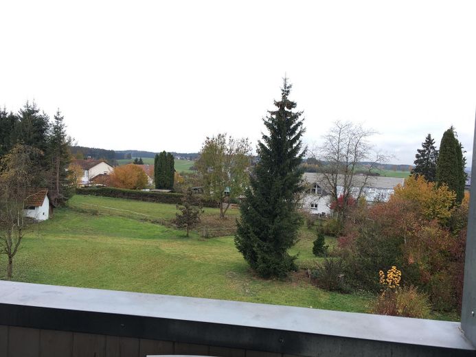 Komfortabel ausgestattete Maisonettewohnung/ Galeriewohnung 1,5 Zimmer mit Balkon – Foto 1