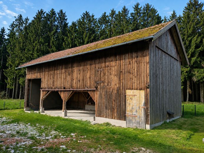 Pequeña finca/granja en ubicación absolutamente aislada al borde del bosque – Foto 3