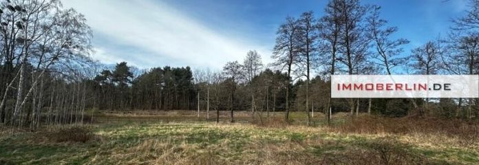 IMMOBERLIN.DE - Großes Wiesen-/Freizeitgrundstück mit Umwidmungspotential für Bauland