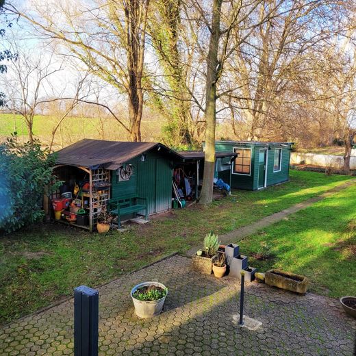 Garten 1
