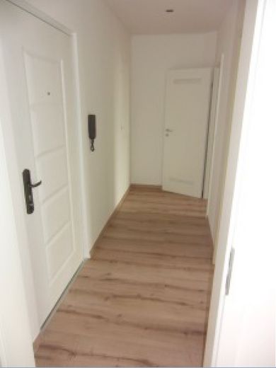 Appartamento di 1 locale completamente ristrutturato con cucina abitabile aspetta il nuovo proprietario! – Flur