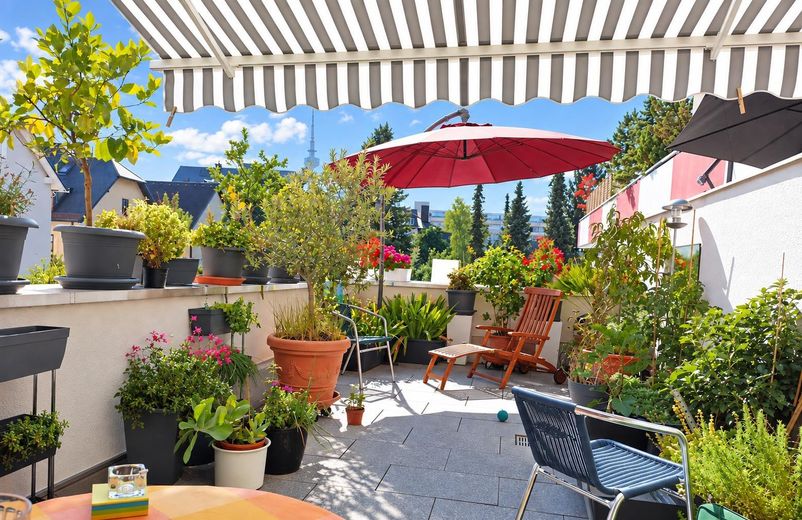 "Sonnenwohnung", Nähe Luitpoldpark - Ideal für 1-2 Personen! – obere Terrasse