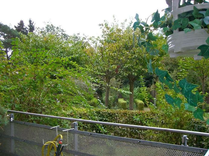 Lichtdurchflutetes Wohnen mit Garten & Balkon in Bad Homburg – Foto 5
