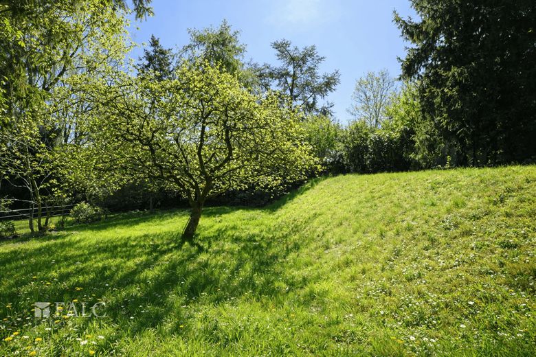 Sanierungsbedürftiges Einfamilienhaus in toller Lage – Bild 8
