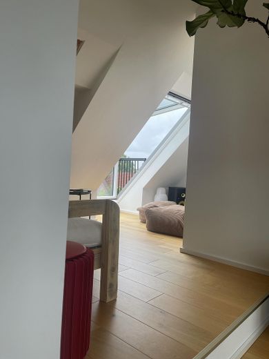 Velux Cabrio