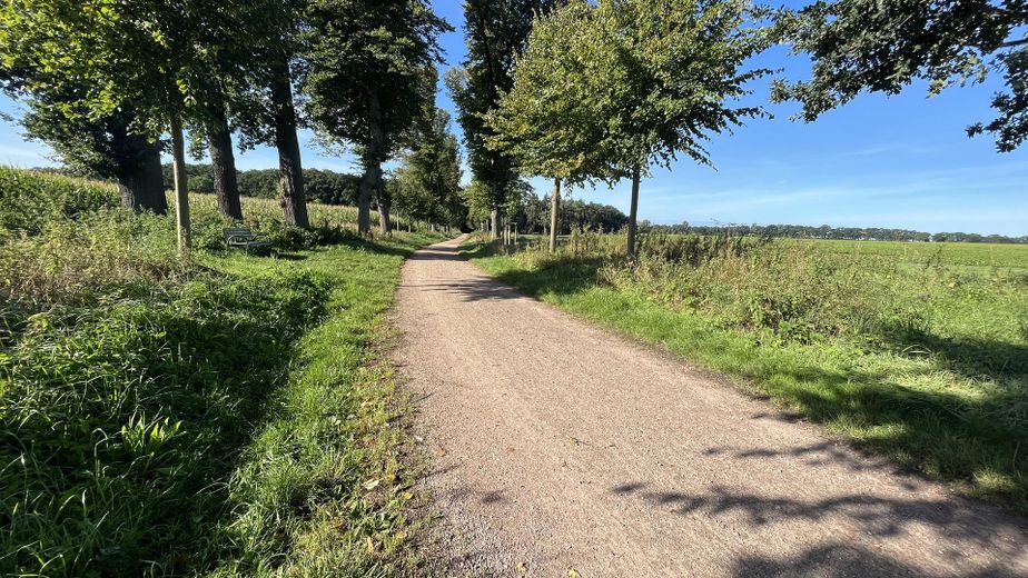 Spazierwege in direkter Nähe 
