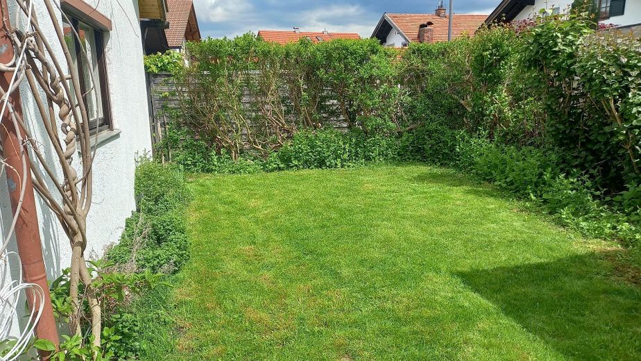 Garten Ostseite Blick Nord