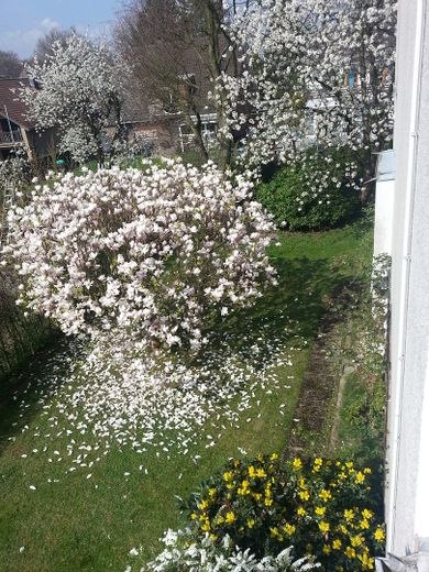 Blick vom Balkon nach Westen