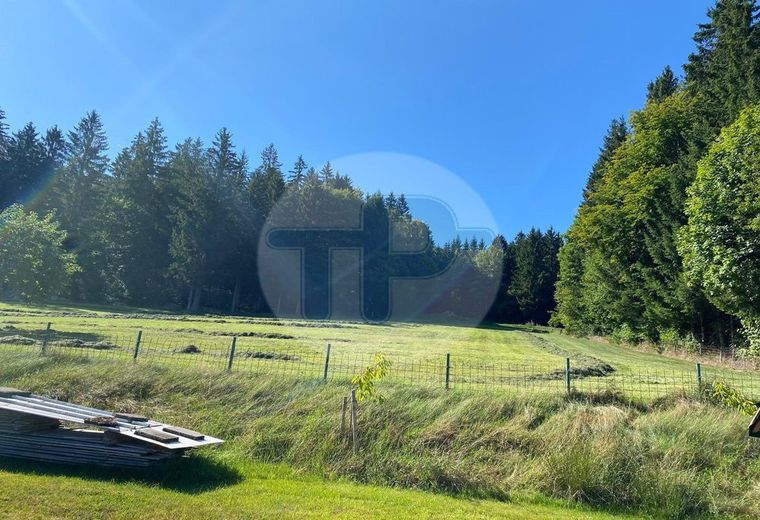 FERNBLICK - GROßES LANDHAUS MIT FEWO TIERHALTUNG GEEIGNET – Fernsicht 1