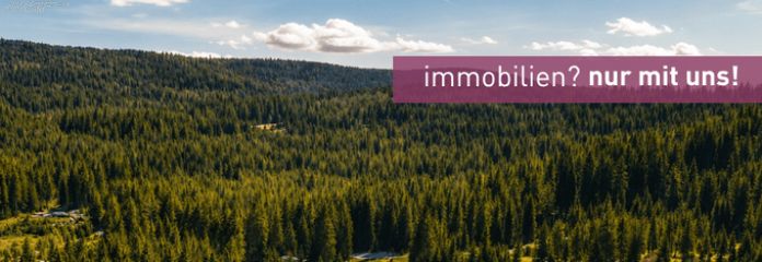 Ein Juwel im Bayerischen Wald - hochwertig kernsaniert und startklar!