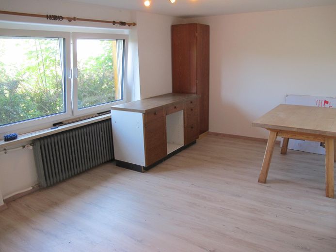 Sonniges Haus, 3 kpl. Wohnungen, Alleinlage, unverbaubarer Fernblick, Urlaubsregion Sonnenwald – Wohnraum im Souterrain