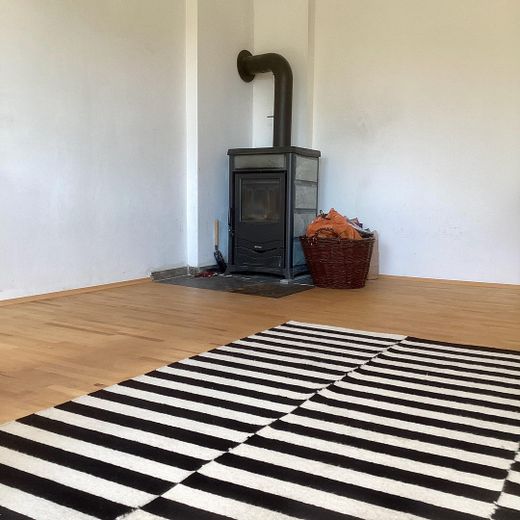 Kaminofen im Wohnzimmer