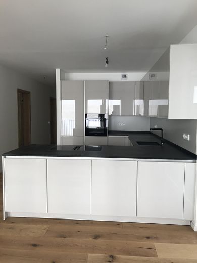 4 Zimmer Dreieich Buchschlag - Moderne Neubau-Wohnungen direkt am Wald – EBK WHG nord