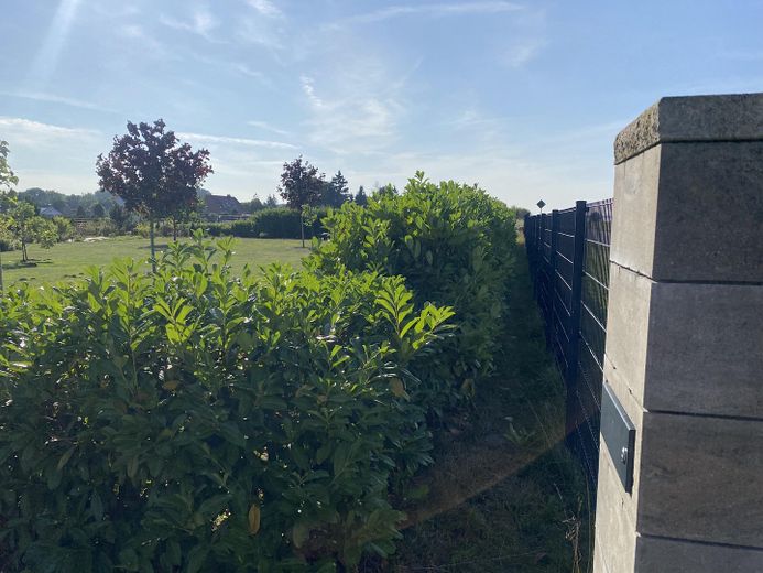 Einfamilienhaus mit großem, gepflegtem Grundstück – provisionsfrei von privat – Hecke mit Zaun