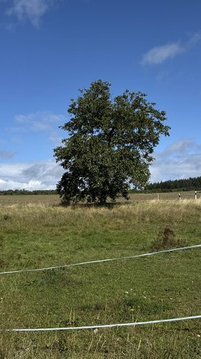 Frontalansicht Grundstück