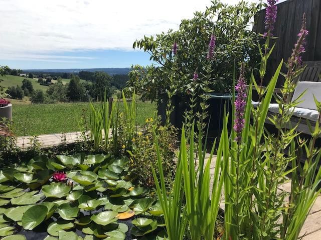 Haus für Individualisten + Genießer – Garten Teich