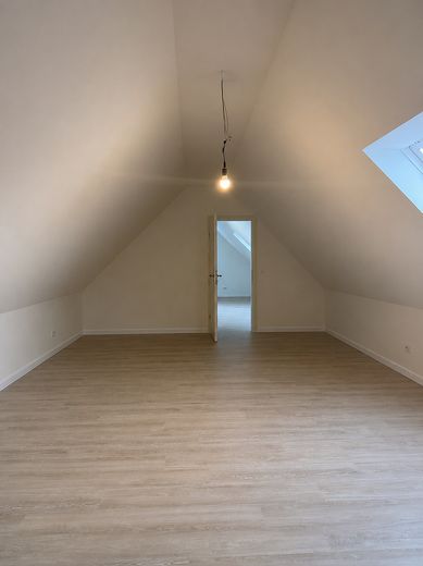 Freshly modernized 2.5-room top-floor apartment in Salzhausen – Foto 2