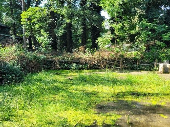 Freedom begins in the greenery! – Foto 1