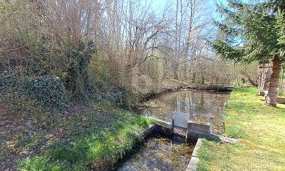 KLEINER WEIHER + BACHLAUF – VIEL PLATZ FÜR ALLE – 1745072048_a86c87.jpg