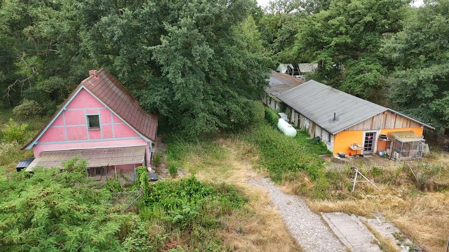 Ehemalige Gärtnerei mit Wohnhaus am Waldrand in Dessau-Kochstedt – Beide Häuser von außen