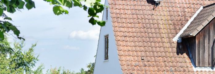 Zuhause für die Familie – EFH mit Wintergarten und großem Grundstück