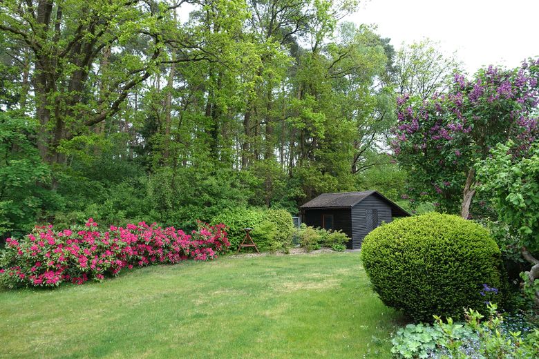 Garten, Schuppen, Waldrand