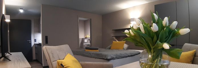 IWR stadt-apartments - WOHNEN AUF ZEIT IN KIRCHHEIM UNTER TECK - frei ab 01.10.2026