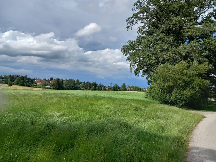 Ein Logenplatz im Grünen – großzügige 3-Zimmer-Wohnung – Umgebung
