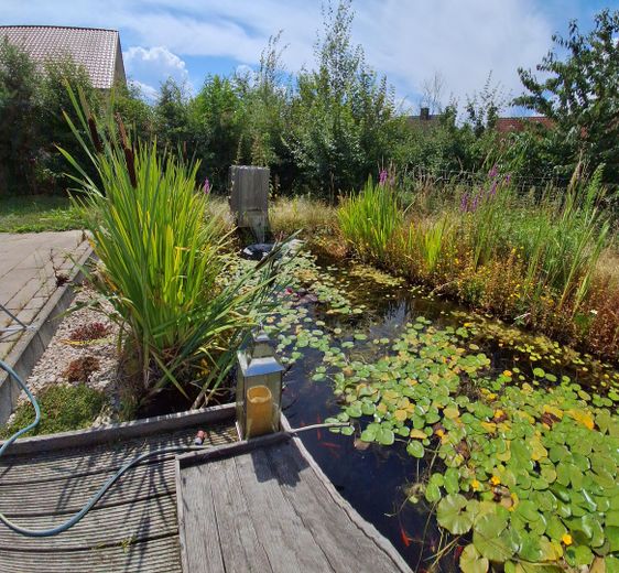 Bungalow come nuovo a Scharbeutz, frazione di Gleschendorf, in posizione immersa nella natura – Gartenteich