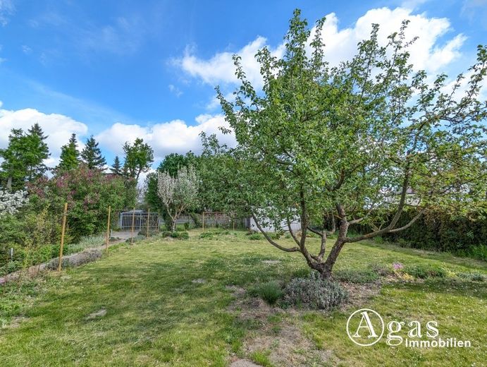 Großes Gartengrundstück mit Laube am Ortsrand von Zehdenick (Eigentum - keine Pacht, kein Verein) – Garten