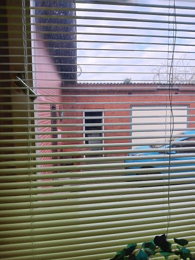 Blick v. Küche in den Hof