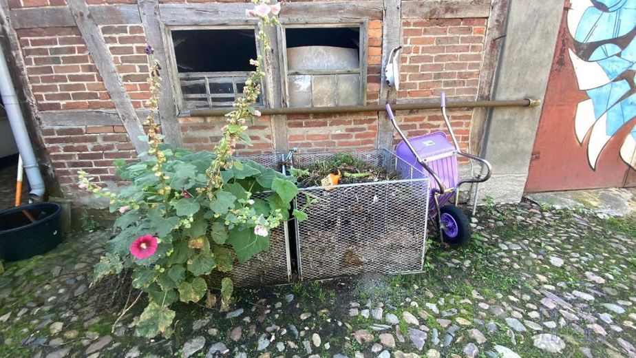 Bild 12
