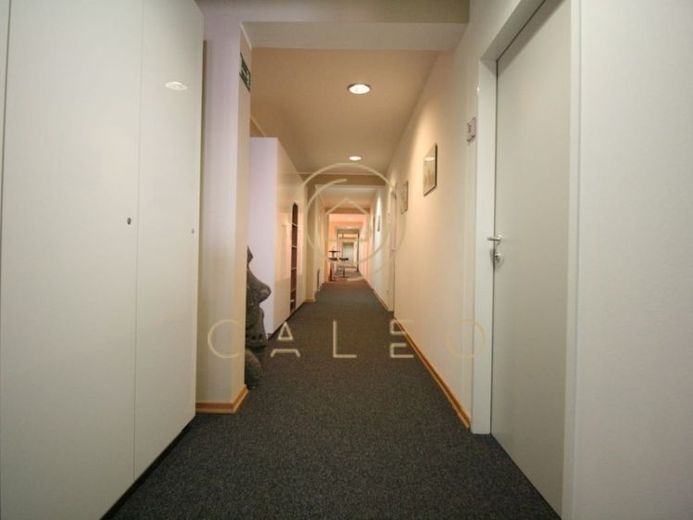 CALEO ¦ Bezirk 3 ¦ Ziehrerplatz ¦ flexibel + sofort bezugsfertig ¦ all inclusive ¦ PROVISIONSFREI – Foto 1