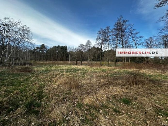 IMMOBERLIN.DE - Großes Wiesen-/Freizeitgrundstück mit Umwidmungspotential für Bauland – Foto 1
