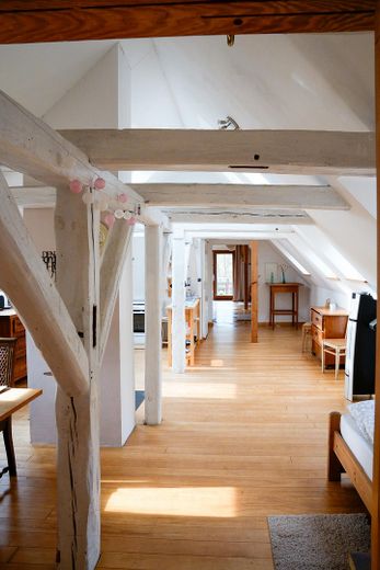 Landhaus unter Reet am See, Gästewohnung, Stallungen, Weiden und Wald. – Ferienwohnung