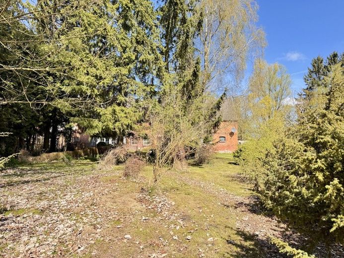 HORN IMMOBILIEN ++ Einfamilienhaus ruhige Lage bei Pasewalk – Garten