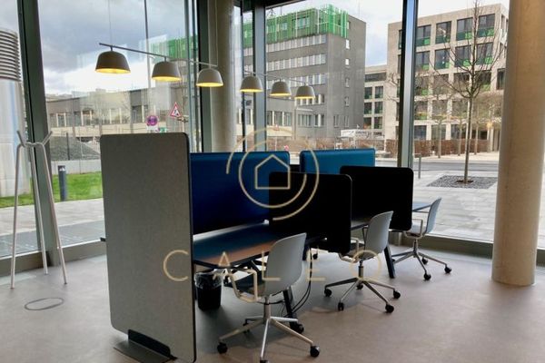 CALEO ¦ Gonzenheim ¦ flexibel + sofort bezugsfertig ¦ all inclusive ¦ PROVISIONSFREI