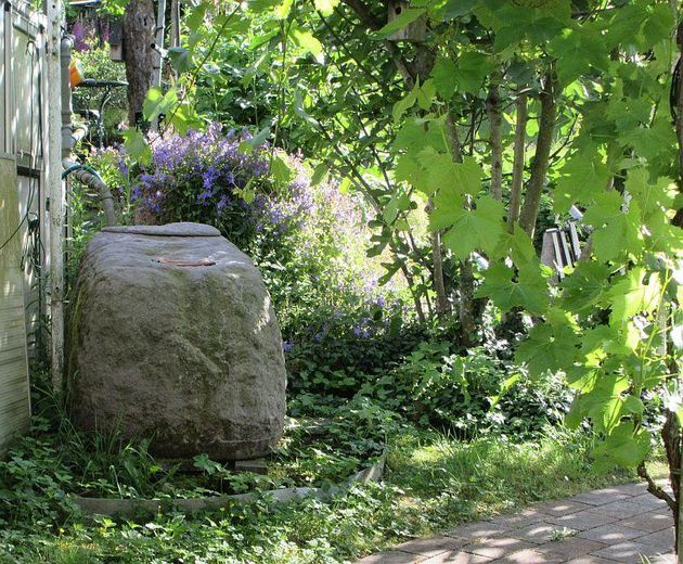 Belbe appartement calme de 2,5 pièces ZKBGWDM au 2e étage, avec garantie du prix du loyer, petit balcon dans un emplacement privilégié, – Im Garten