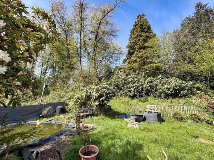 Wohnen mit Weitblick - Mehrfamilienhaus in Dahlerau – Garten Erdgeschoss