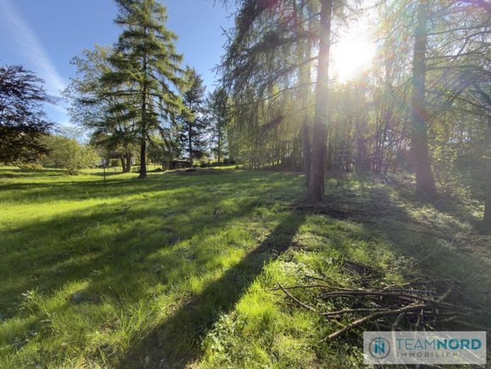 Ampio spazio per due case speciali - Terreno edificabile di 3.652 m² a Egestorf – Foto 1