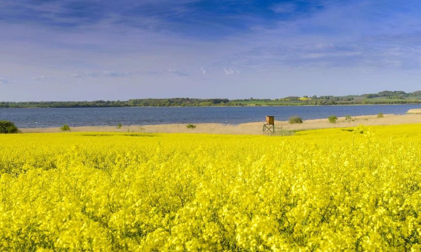 Naturparadies Dassow