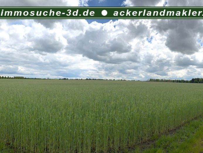 env. 74 terres arables et env. 7 ha de prairie près d’Anklam à vendre – Foto 1