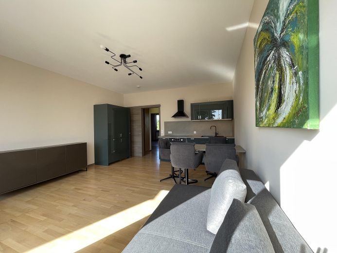 Helle möblierte Dreizimmerwohnung am Jungfernsee – Wohnküche