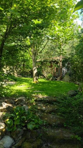 Sonniges Einfamilienhaus – Garten 1
