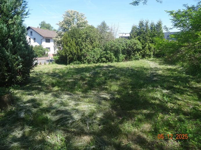Garten, Grundstück