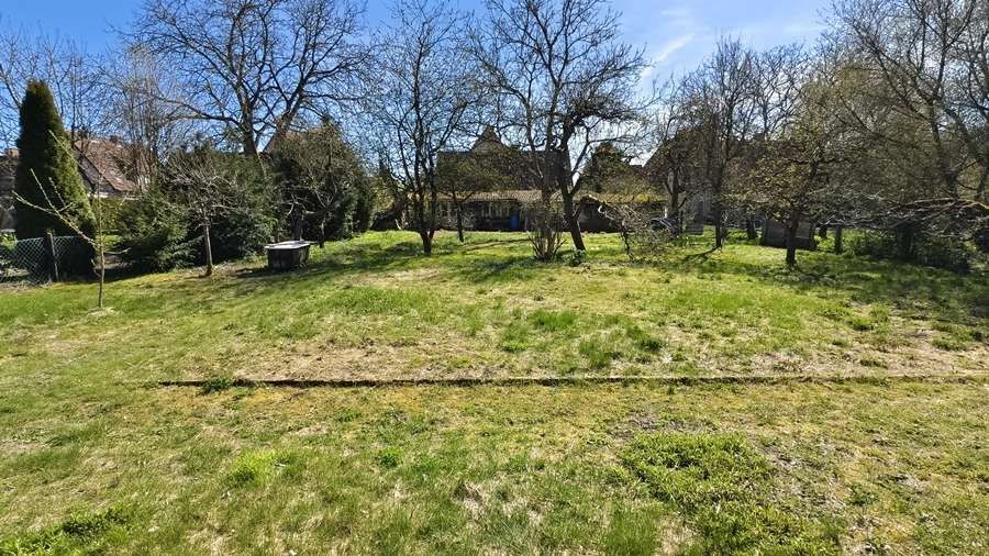 Eldingen - Verborgene Perle: Einfamilienhaus + Garten + Obstbäume - wer erweckt mich zu neuem Leben – Gartenansicht 4