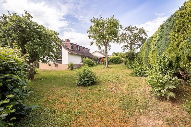 Blick in den Garten