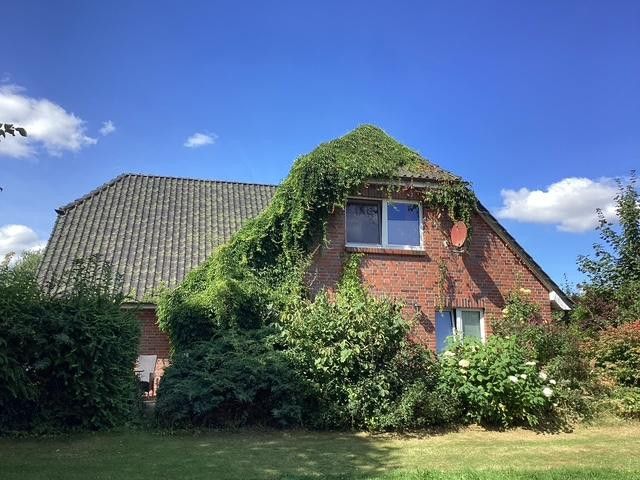 Außen Ost