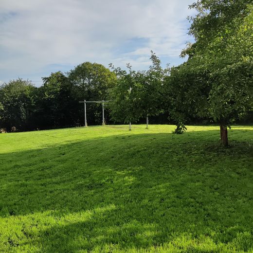 Wiese hinter den Häusern B1 